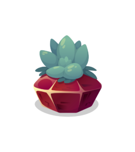 Shandis Garden