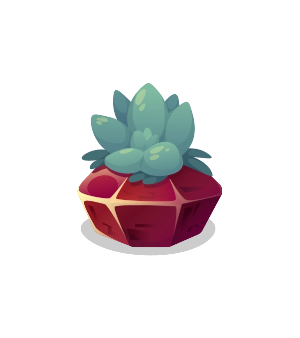 shandis garden