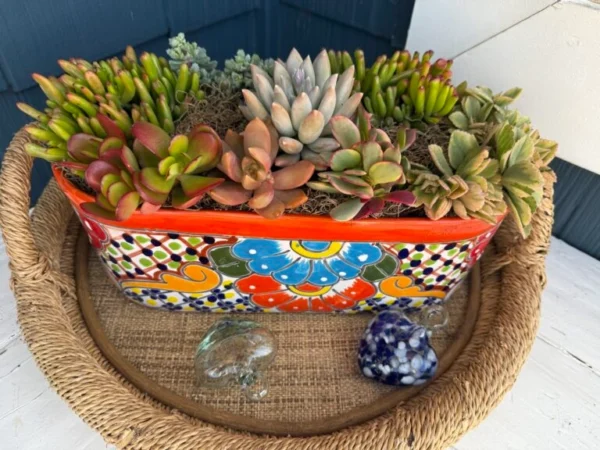 Stylish and Durable Planters - Image 5