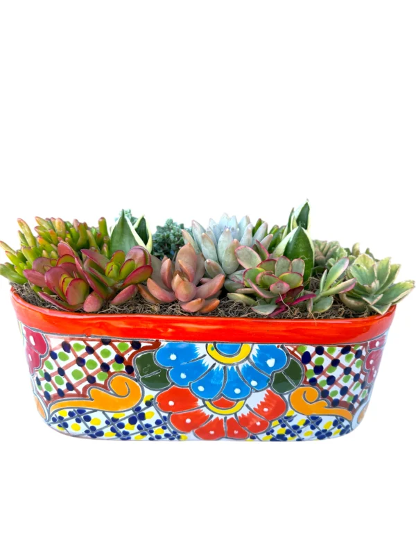 Stylish and Durable Planters