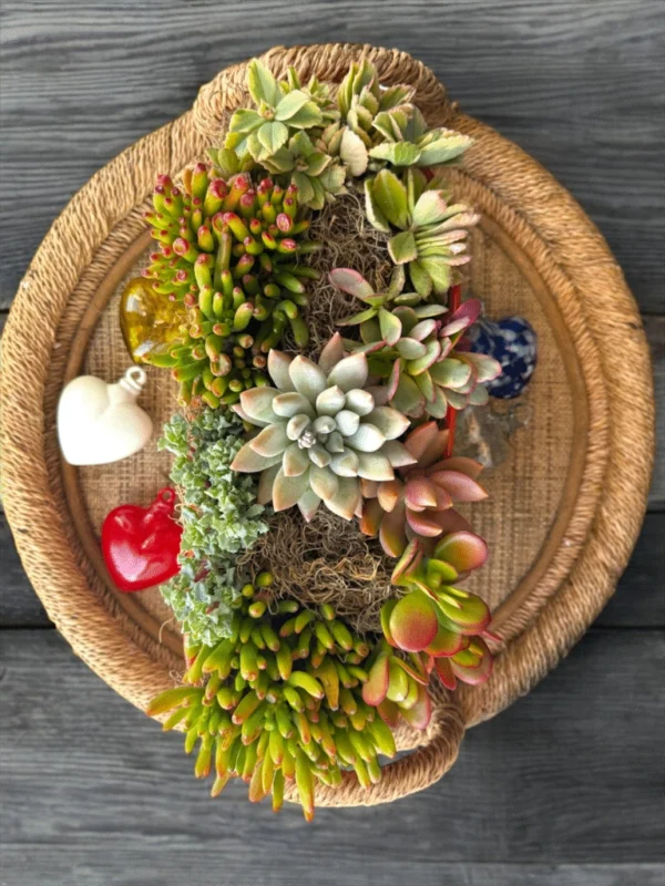 Stylish and Durable Planters - Image 2